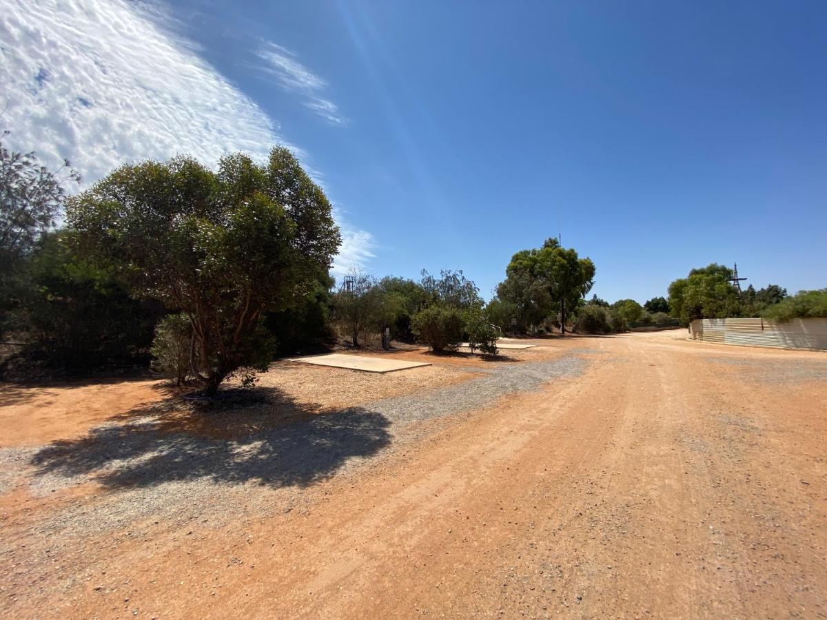 Capricorn Holiday Park Carnarvon Εξωτερικό φωτογραφία
